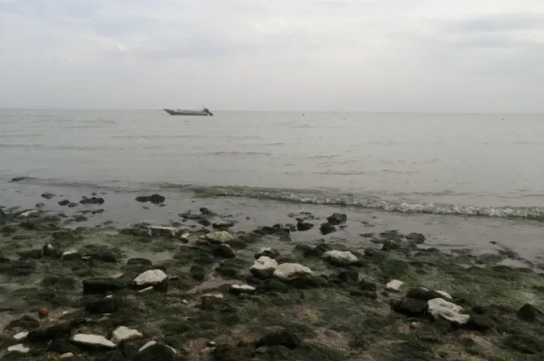 Учёные ЮНЦ РАН нашли микропластик на дне Азовского моря