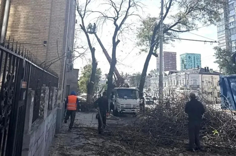На Будённовском в Ростове высадят 113 молодых деревьев