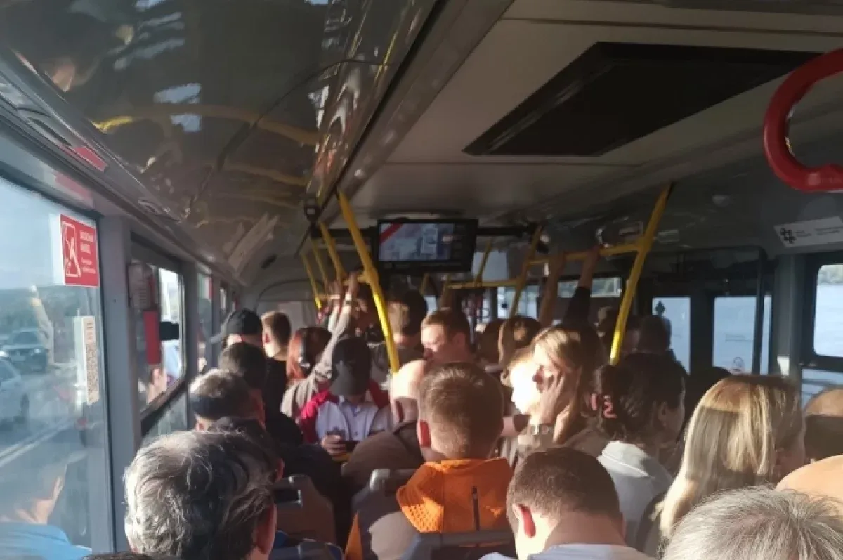 На Дону запустили два новых межмуниципальных автобусных маршрута