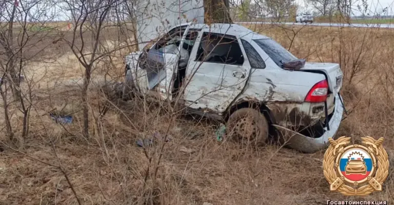 Два пассажира погибли в ДТП в Зимовниковском районе