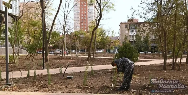 Сквер Строителей в Ростове готовят к открытию